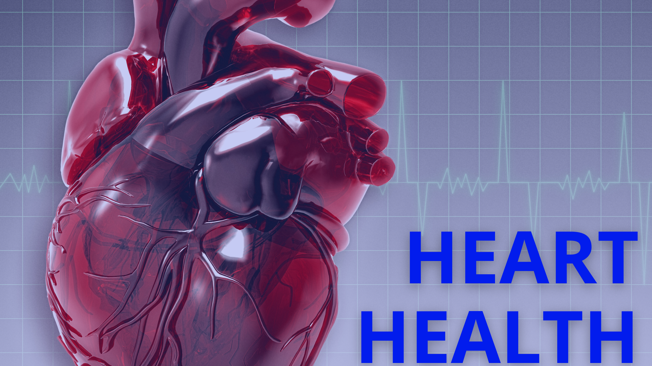 Cardiovascular Health Blood Testing: Essential Tests to Monitor Heart Health